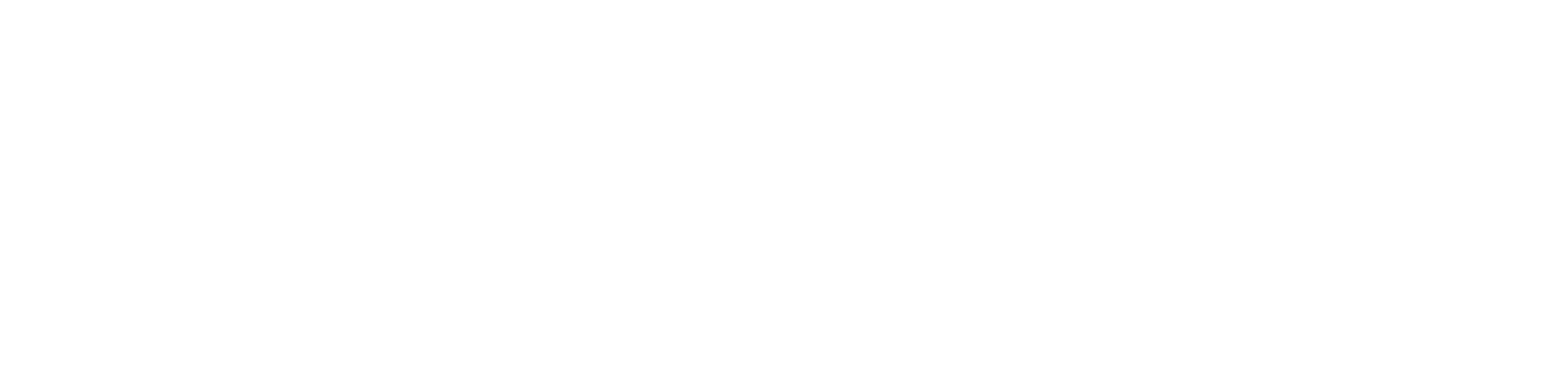 Logo Baurane version blanc